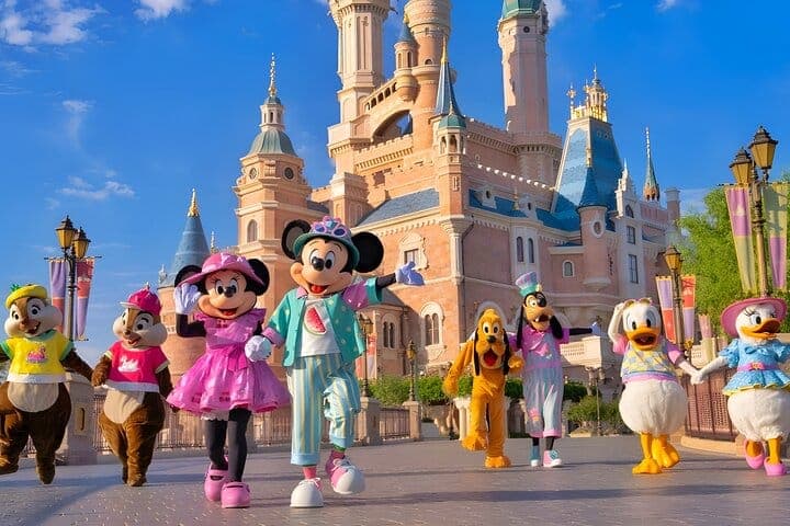 Однодневный пропуск в Tokyo Disneyland с индивидуальным трансфером из/в отель