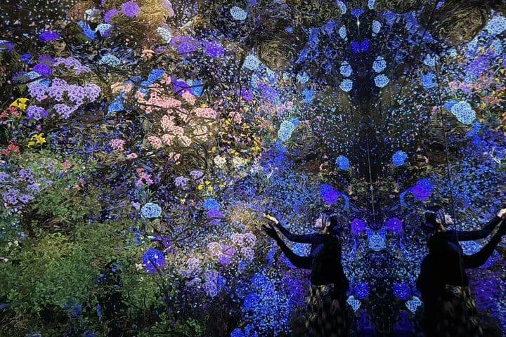 Только билет в teamLab Planets в Токио