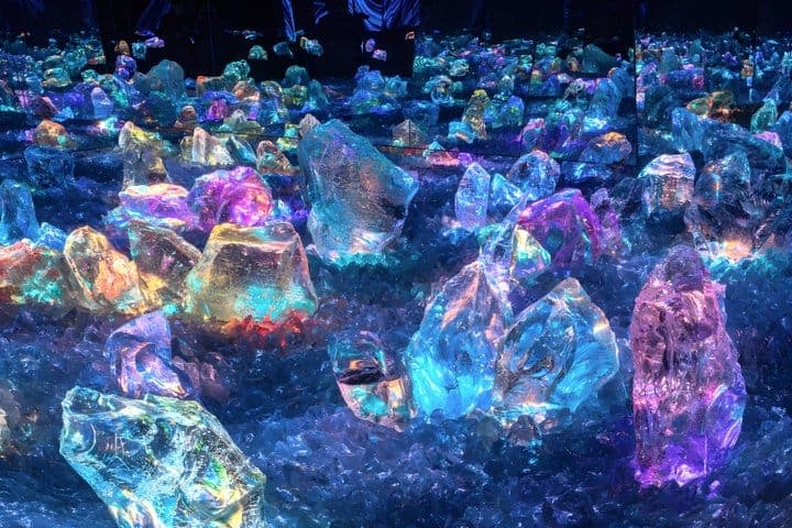 teamLab Biovortex (Киото)